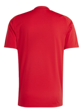 Load image into Gallery viewer, CAMISETA 1ª EQUIPACIÓN ESPAÑA JR FAN
